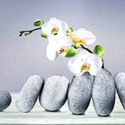 фотообои Серые камни и цветы