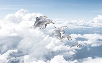 фотообои Дельфины в облаках
