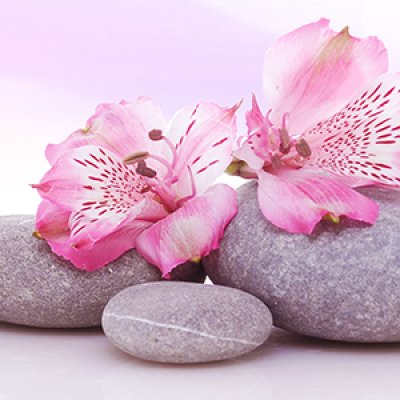 фотообои Розовые цветы и камни